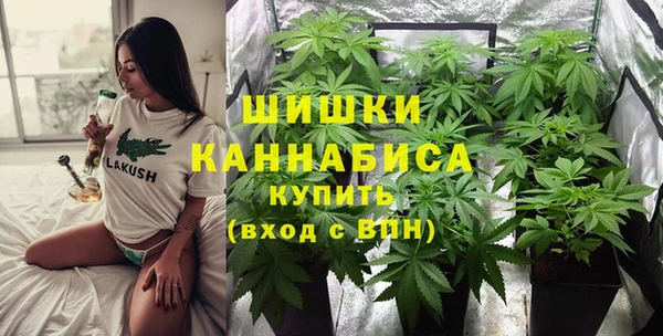 гидра Арсеньев