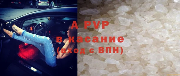 эйфоретик Баксан