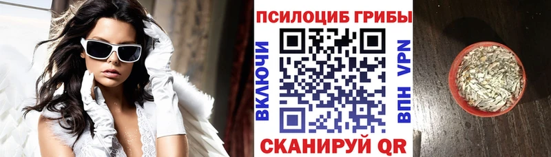Галлюциногенные грибы прущие грибы  купить   Кологрив 